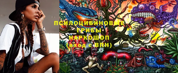 ешки Сясьстрой